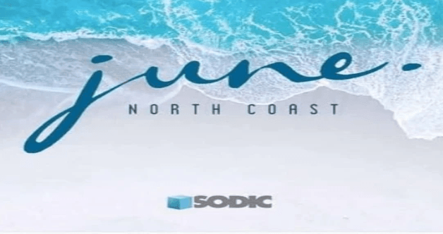 Sodic Projects