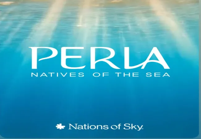 Nations Of Sky Developments